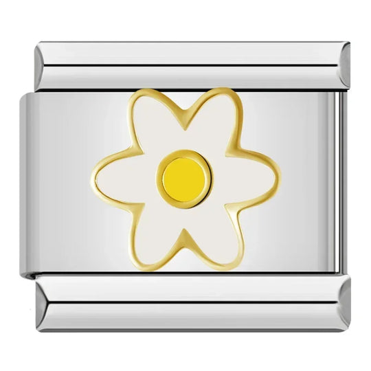 41373563453530