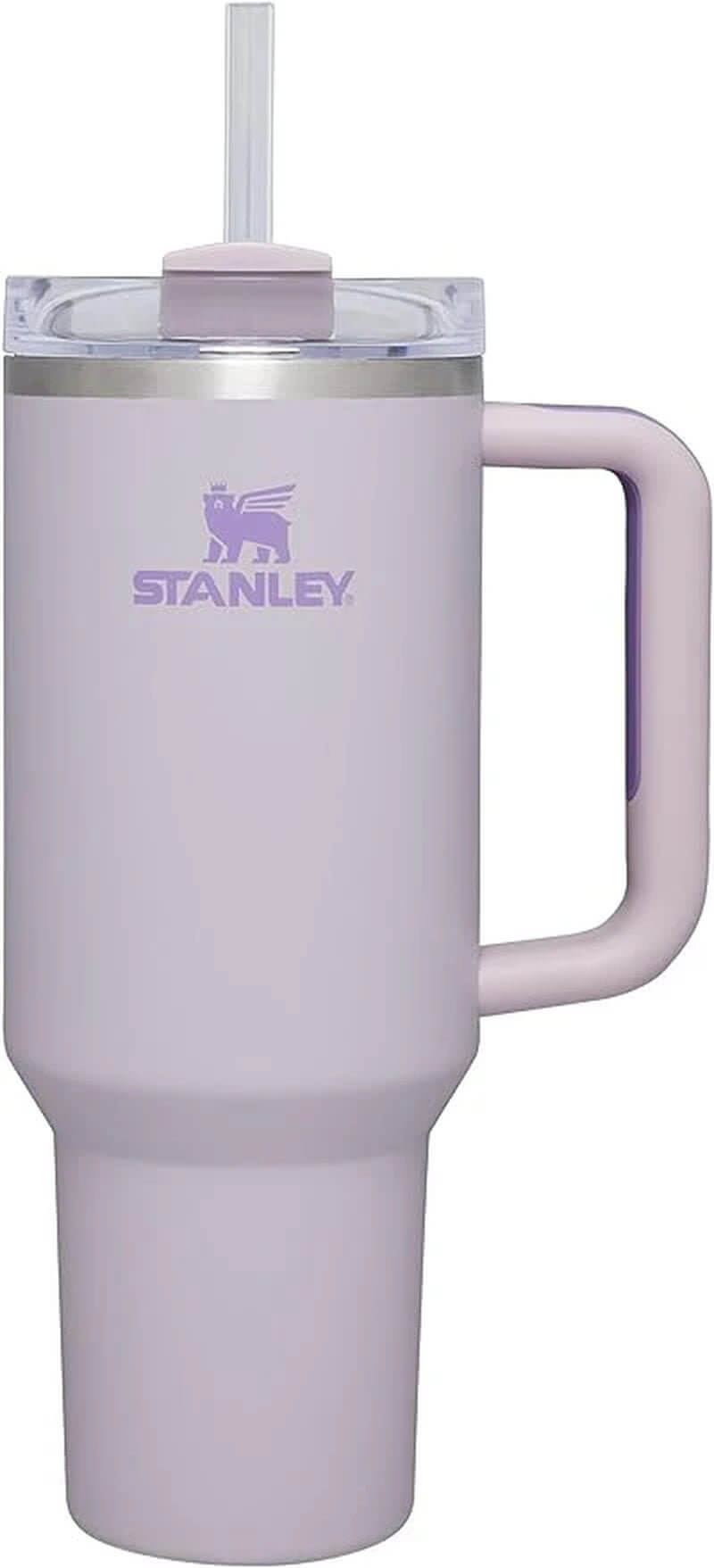 Quencher H2.0 Flowstate Stainless Steel Vacuum Insulated Tumbler with Lid and Straw for Water, Iced Tea or Coffee - All - Gadgetry